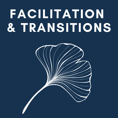 Facilitation et Transitions